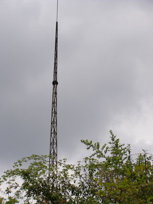 河北通用型30米鋼結構避雷針塔廠家哪家好？