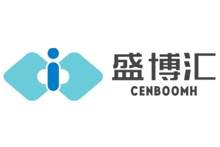 聚焦信息系統集成與咨詢服務，打造數字經濟時代的企業新引擎